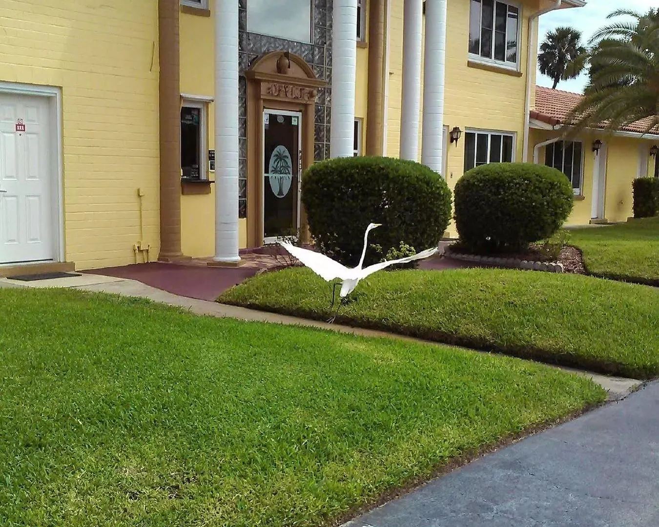Super Inn By Oyo Daytona Beach Near Airport Motel